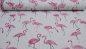 Preview: Jacquard Flamingo, Flamingostoff, Flamingos, mehrfarbig, gestreift, beige, bordeaux, Polyester-Jacquard, beige,Dekostoff, eidseitig verwendbar, gestreift