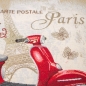 Preview: Gobeline Panel Paris Roller Paris Panel Pariskissen  Kissenpanel Panel Roller Zweirad Paris Gobelin