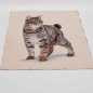 Preview: Perser Katze Perser Colour Point Colourpoint Perser Kater als Panel Katze Perserkatze Gobeline Panel mit Katze