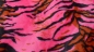 Preview: rosa  pinktes Fellimitat Tiger Tigerkunstfell Kunstfell Tigerstreifen Fellstoff mit Tigermuster gelb orange pink rot grün blau