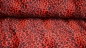 Preview: rotes Leopardenfell Kunstfell in Rot Fellimitat Leopard rot-schwarz Fellimitat - Leopardenfell rot  Fellstoff mit rotem Leopardenmuster LEO