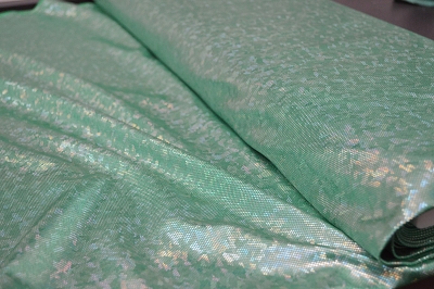 Hollogrammstoff 189-434 grün - silber