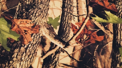 Dekostoff mit Waldmotiv Stoff Half-Panama Blätter Camouflage Stoff Wald