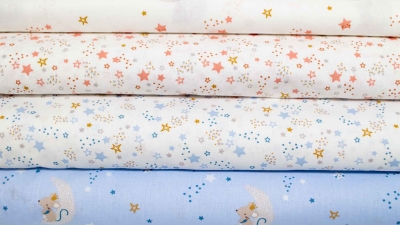 1138 Domotex Lena Maus GOTS hellblau babyblau pastellblau Biostoff Babystoff mit Maus Mäuse Mäuseprinzessin Mond Sterne weiß Biobaumwolle Kinderstoff mit Maus Mäuschen  Baumwolle hellblau babyblau pastellblau